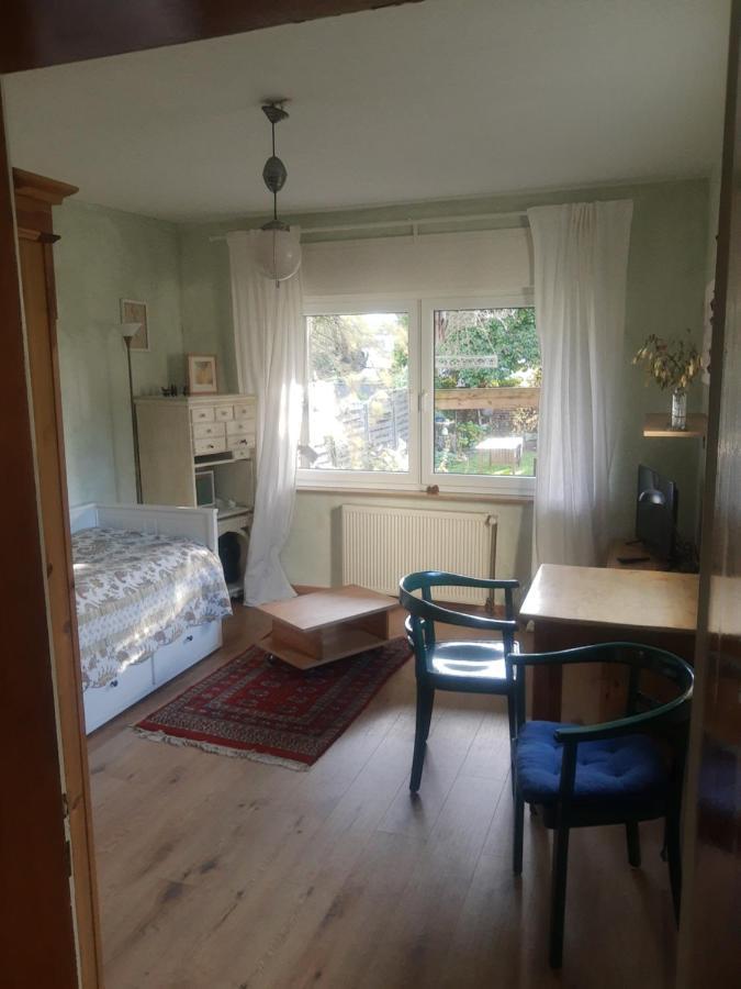 Gartenzimmer Mit Strassenbahn Zu Dom Und Messe * Keulen